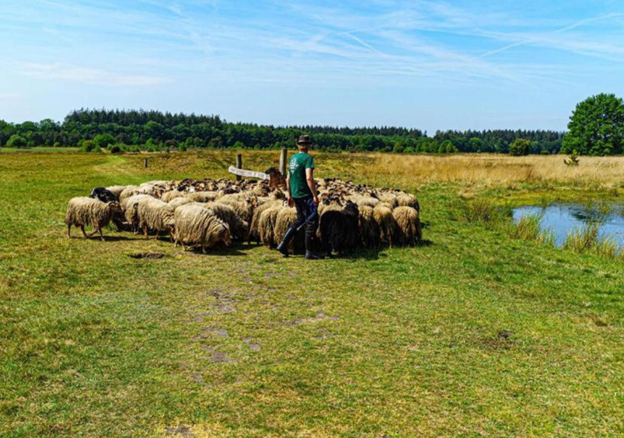 Mini Camping Drentse Monden Nieuw-Weerdinge Exterior foto